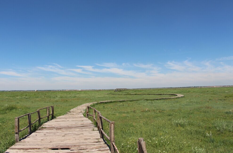 这张照片是我最喜欢的！