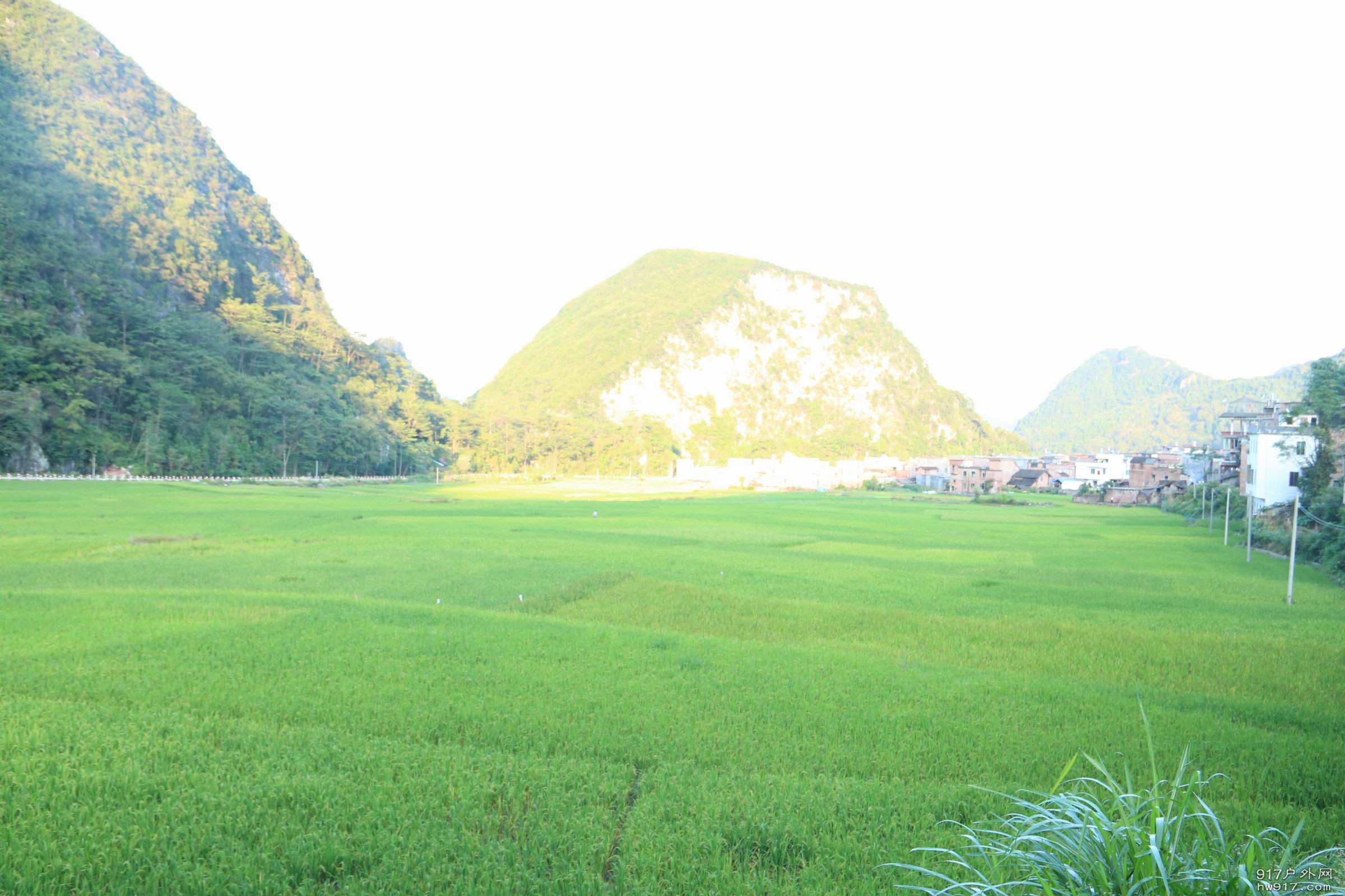 调整大小 IMG_7686.JPG