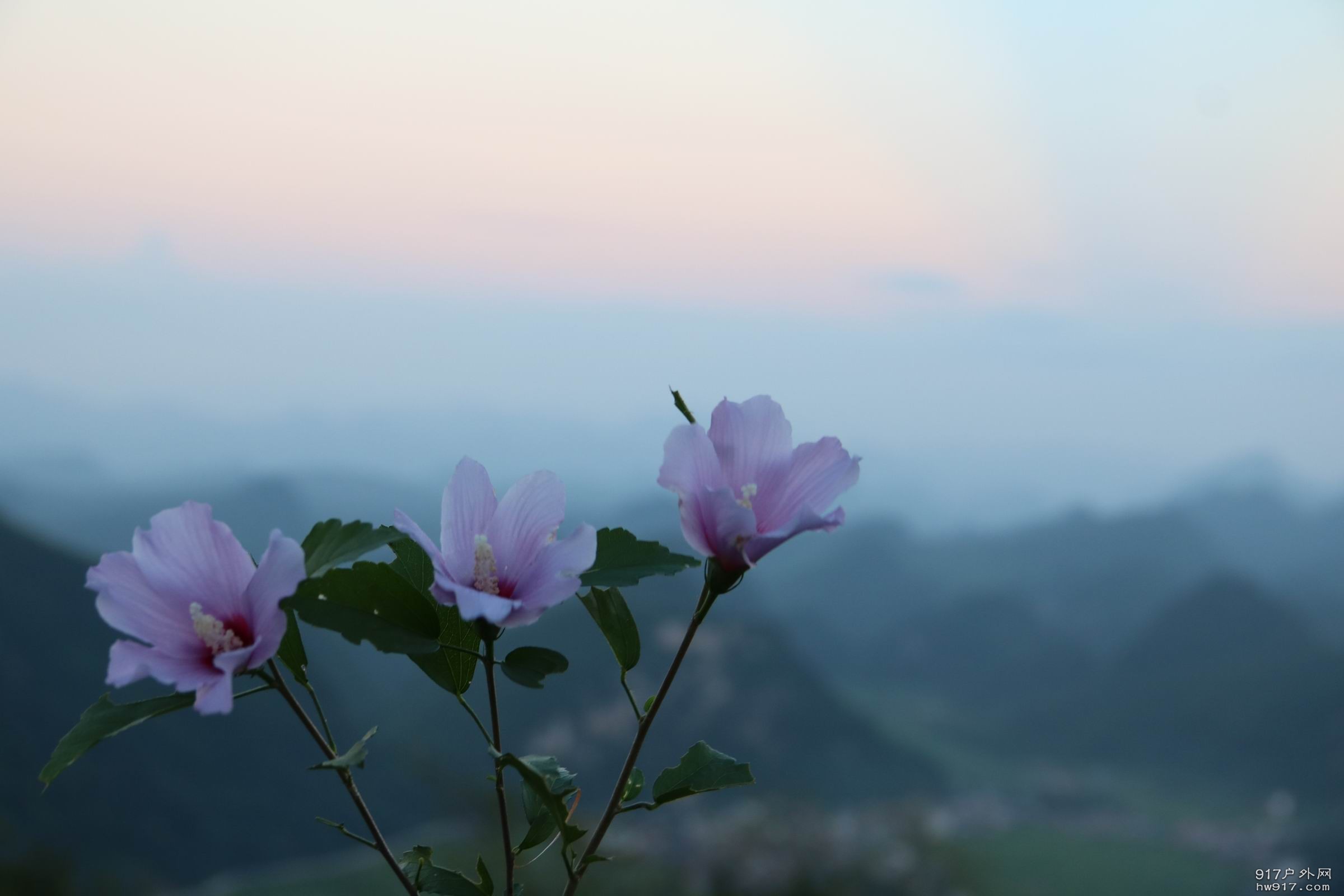 调整大小 IMG_7708.JPG