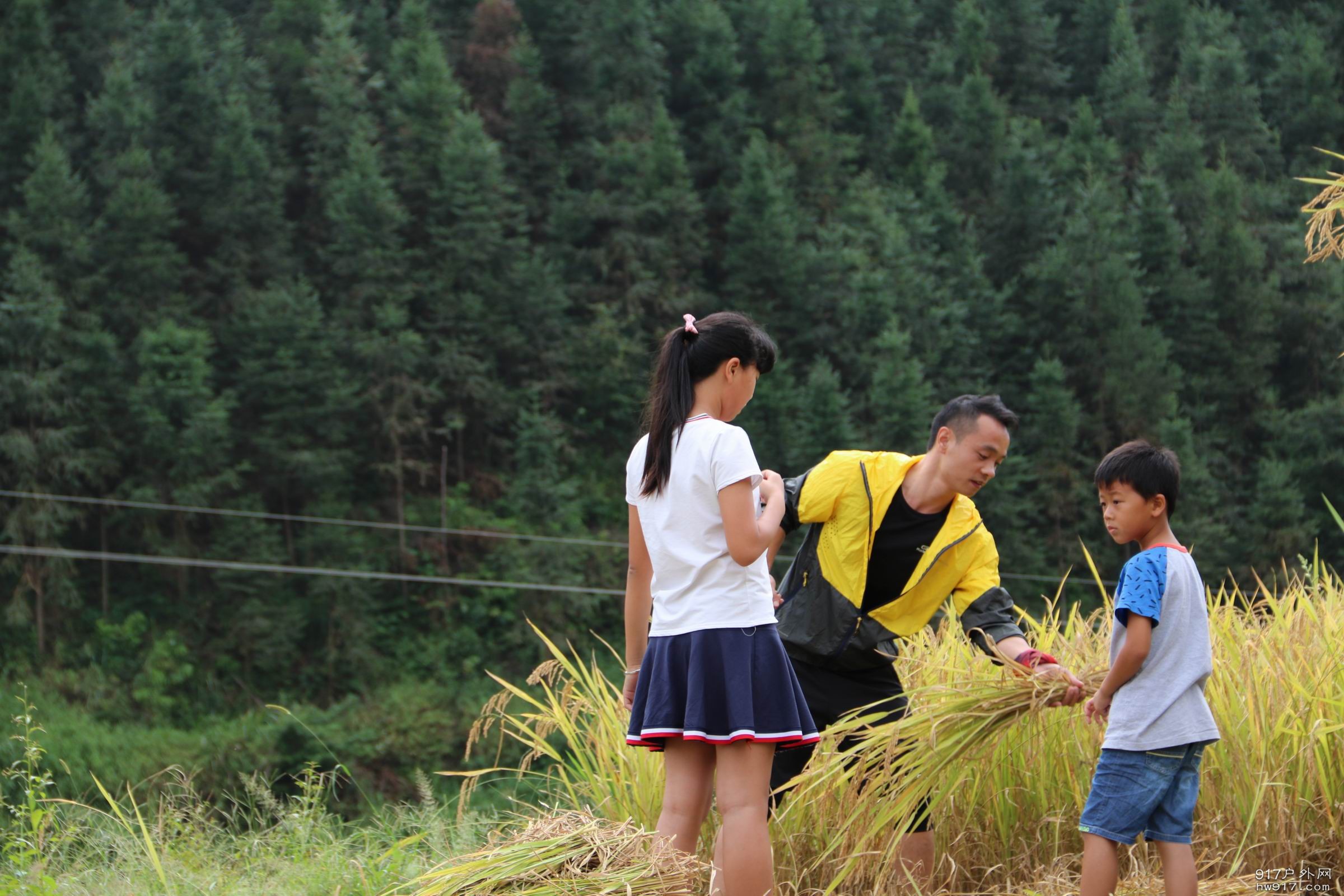 调整大小 IMG_8055.JPG