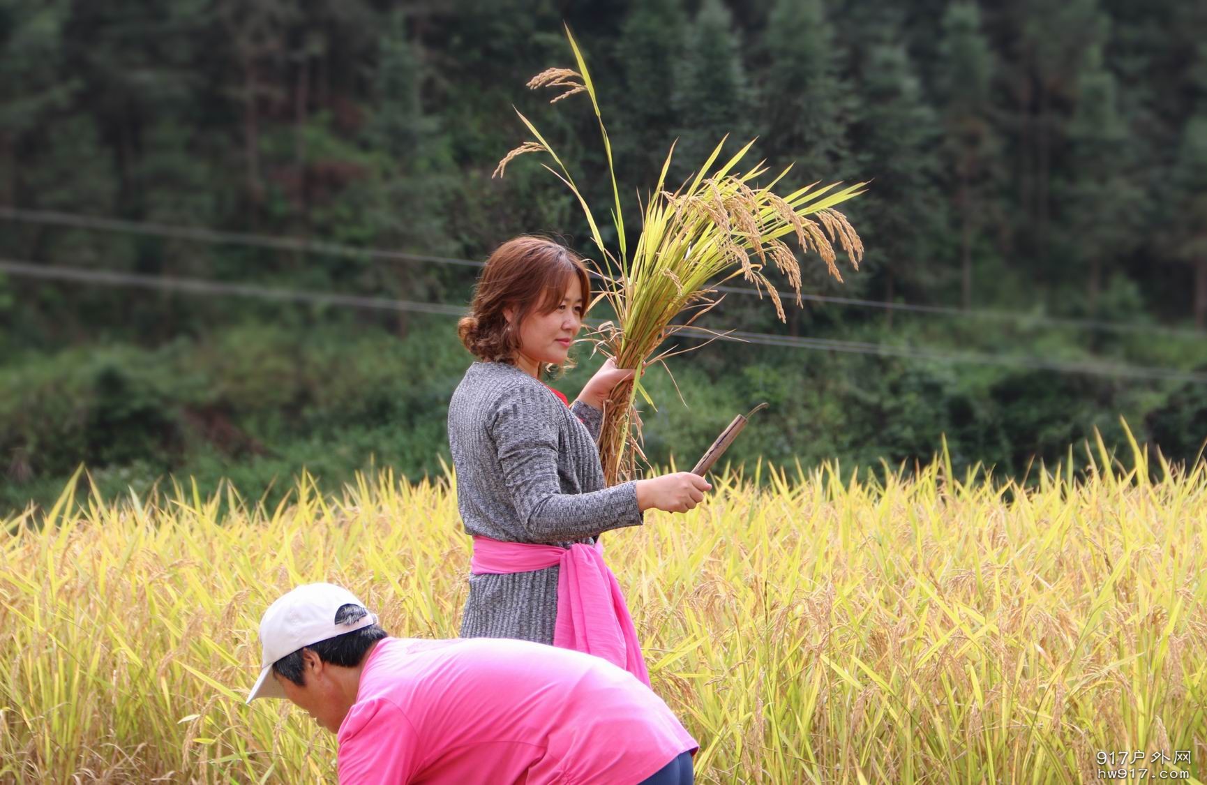 调整大小 IMG_8228.JPG