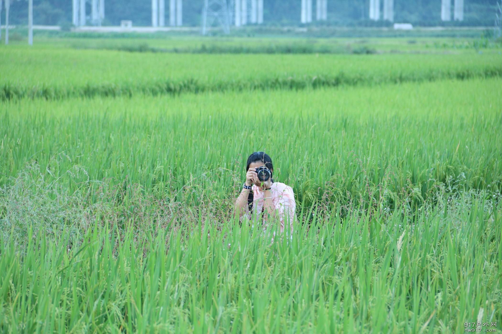 调整大小 IMG_8735.JPG