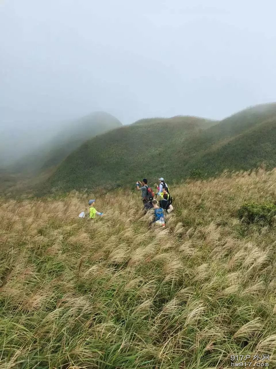 想起凤凰传奇的一首歌《我从草原来》啦啦啦啦啦啦.......停停停收，什么东西啊。我不会唱，我只知道歌名。 ...