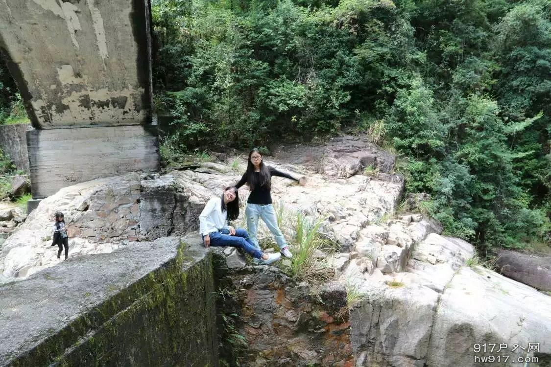 四號車怪咖負責拉平智商的半島