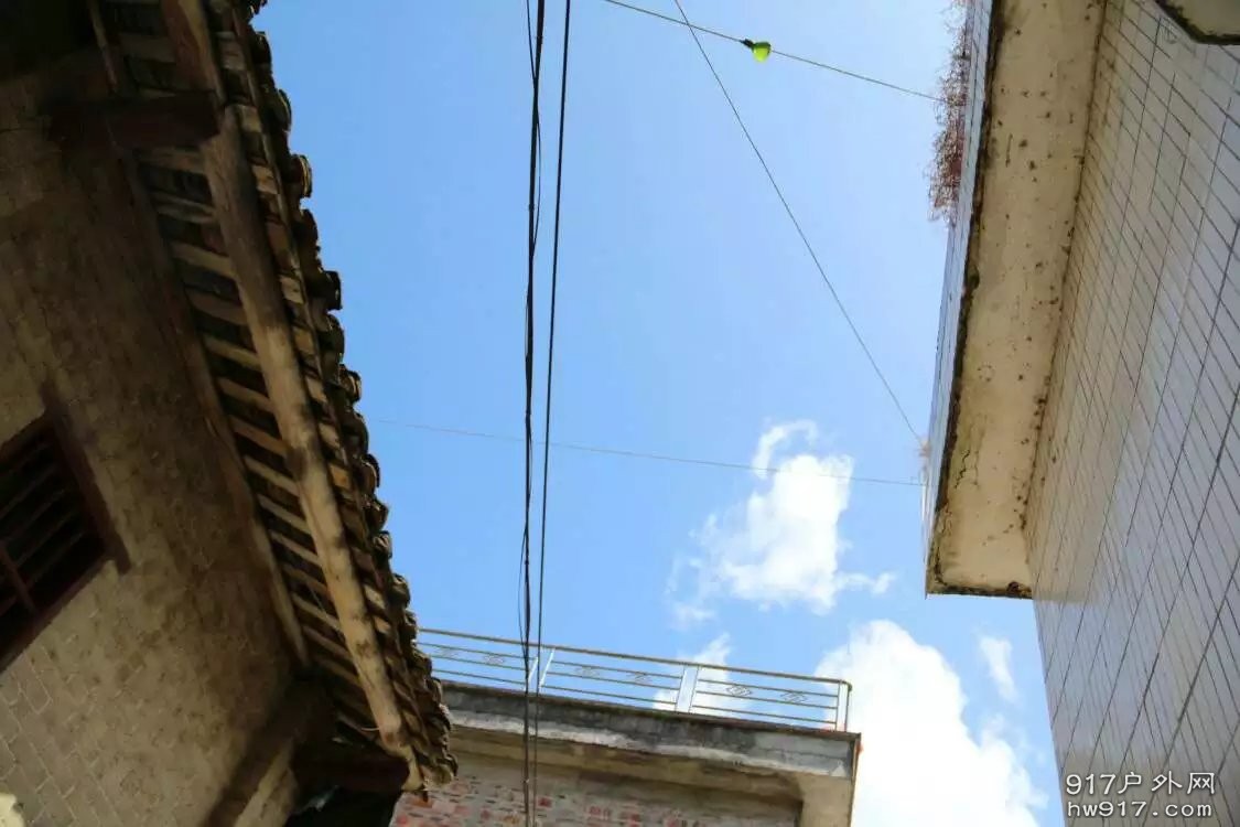 the corner of the house.jpg