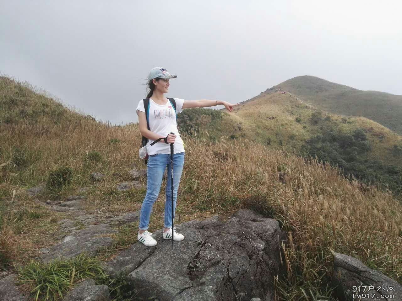 看，发现新大陆。