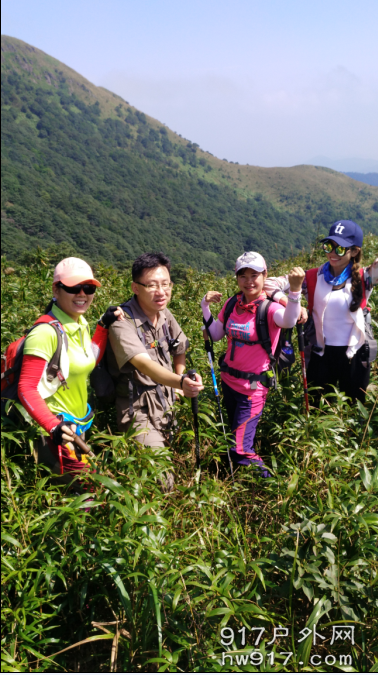 金鱼有三房了！