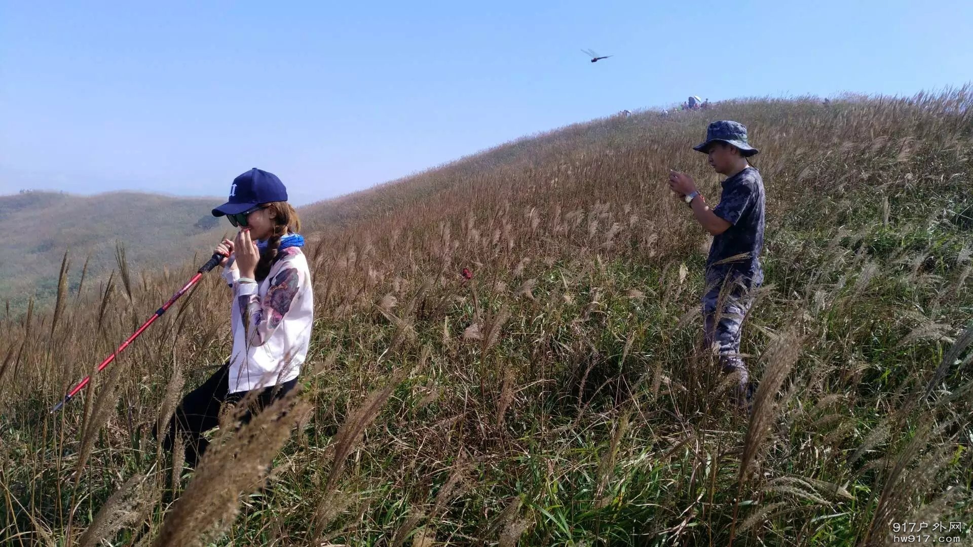 蜻蜒跟随着我们的一起Happy
