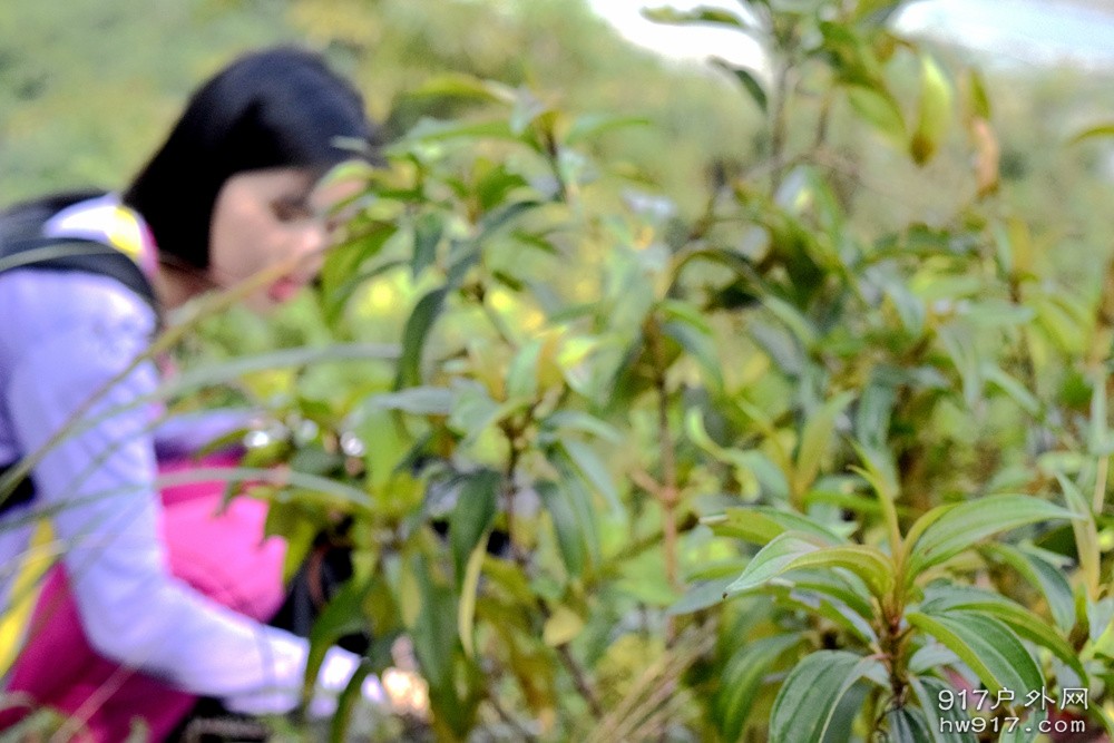 咦？有个美女诶！这种朦胧的感觉。。。