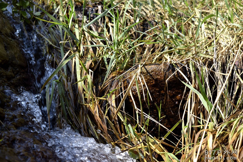 有山就一定要有水，清澈的小溪流汇入大海。