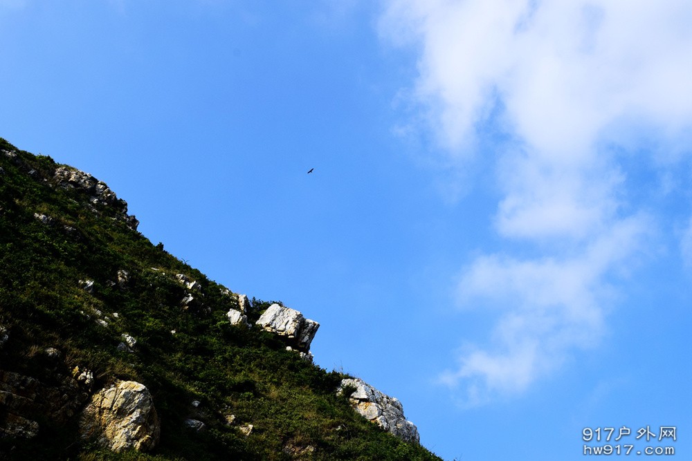 有幸得以见到展翅雄鹰盘旋而上，海阔天空任翱翔