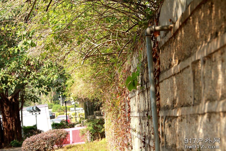 IMG_0251 (复制).JPG