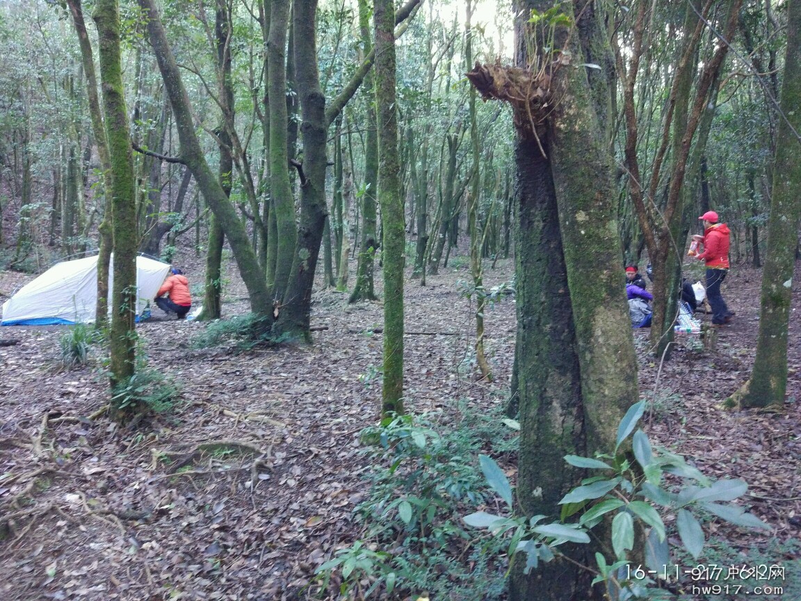 這伙人昨天大雨怎度過的