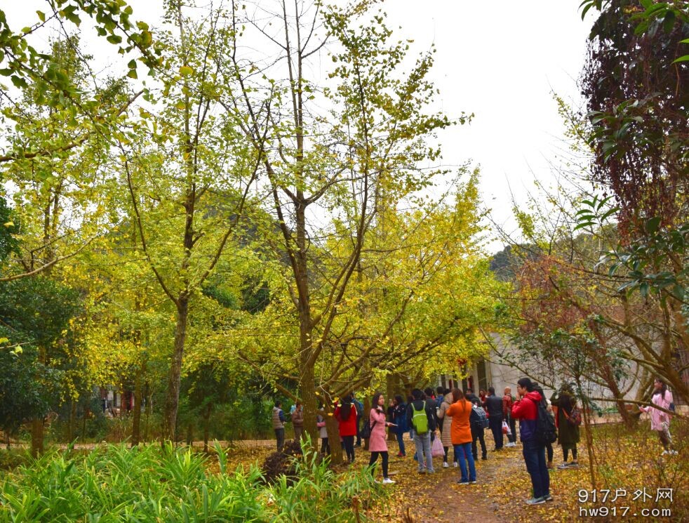 我们进村被打劫了