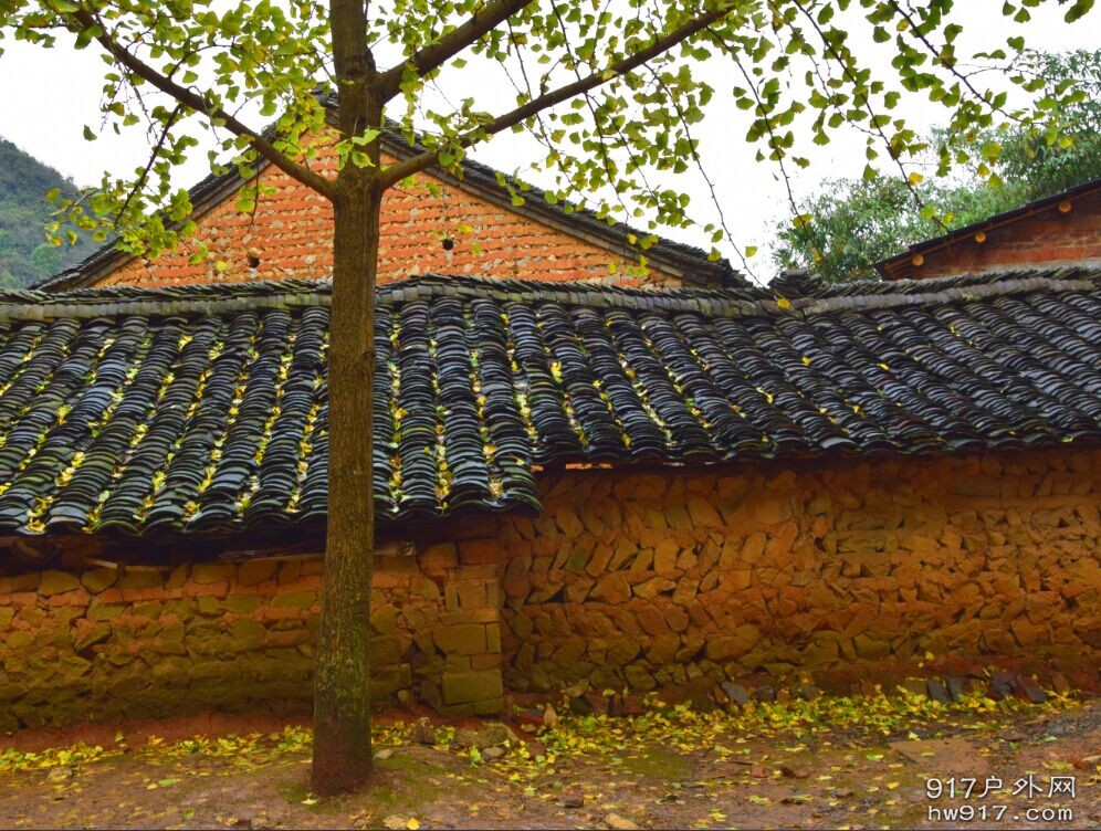 阴暗的天气，影响着心情