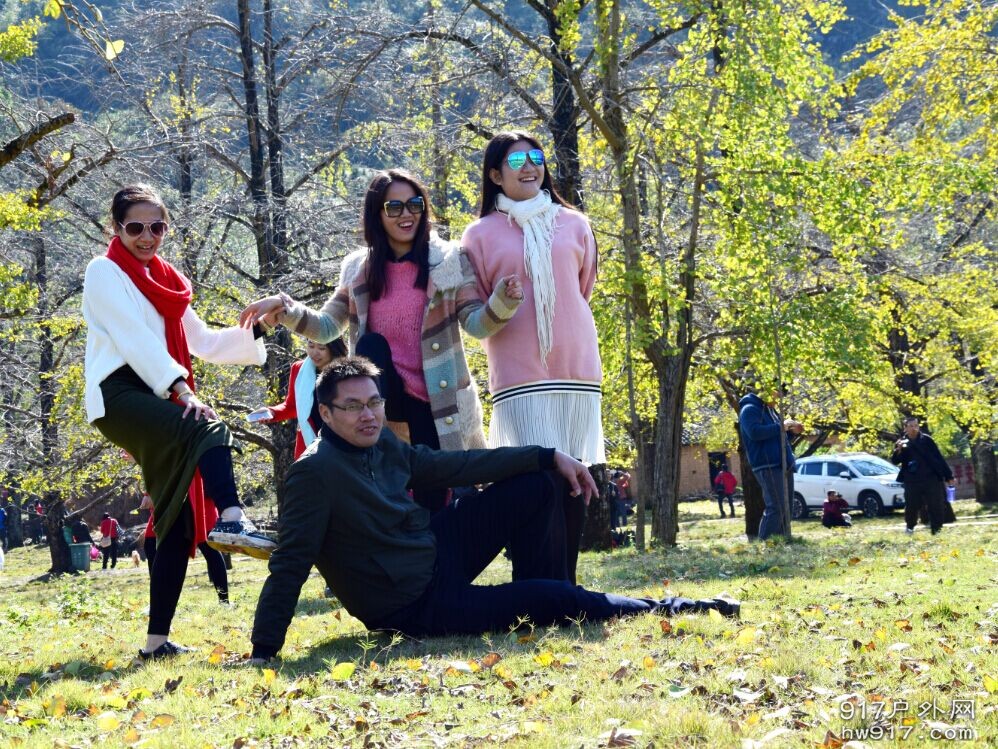 找到一片草地，哈哈，被虐的小草