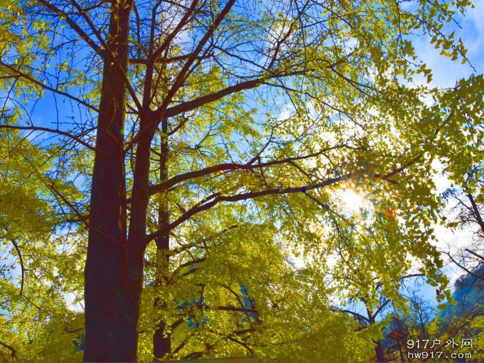 阳光正好，微风不燥