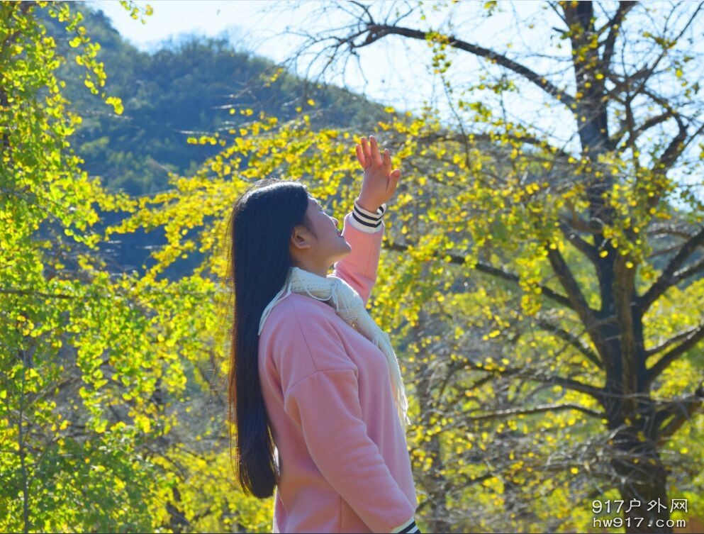 这张也是美美哒