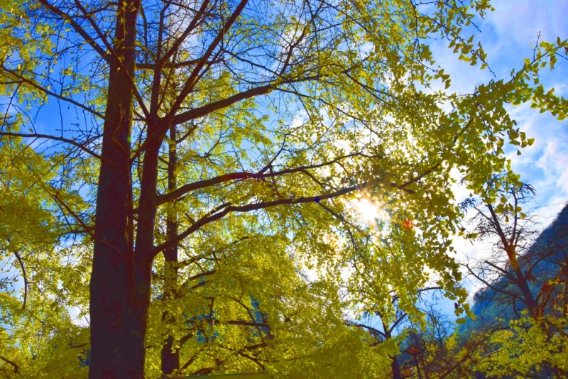 走进深秋的童话