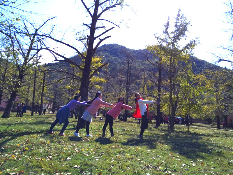 这是降龙十八掌么