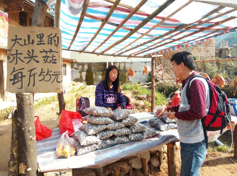 木头姑，不知有何不同