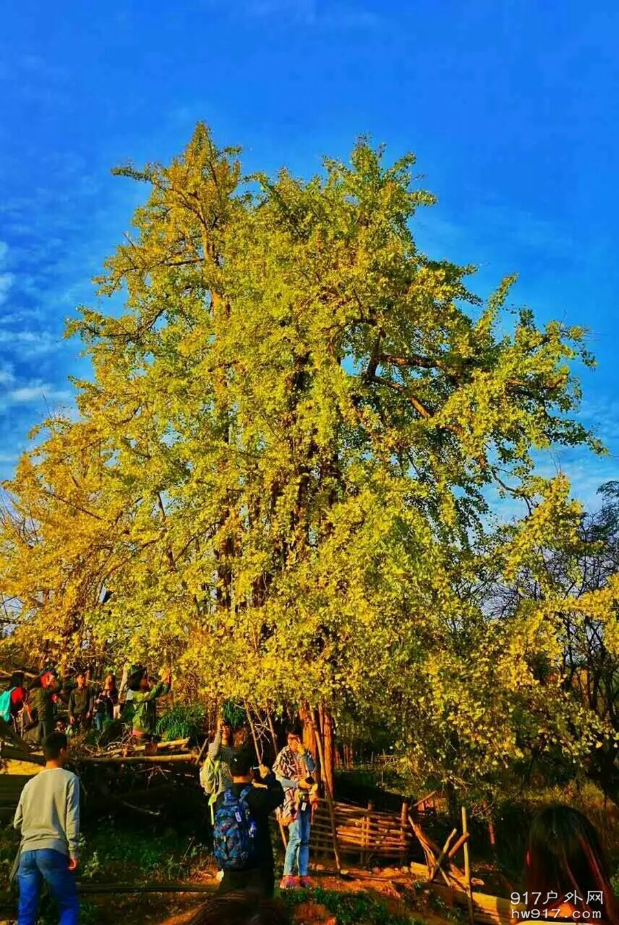 调整大小 1205180871.jpeg