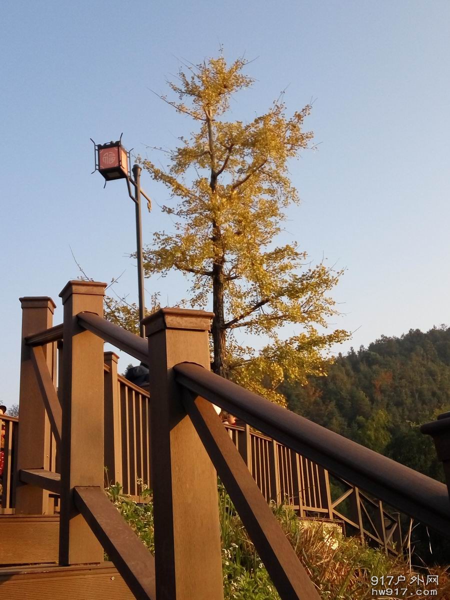 调整大小 IMG_20161204_074208.jpg