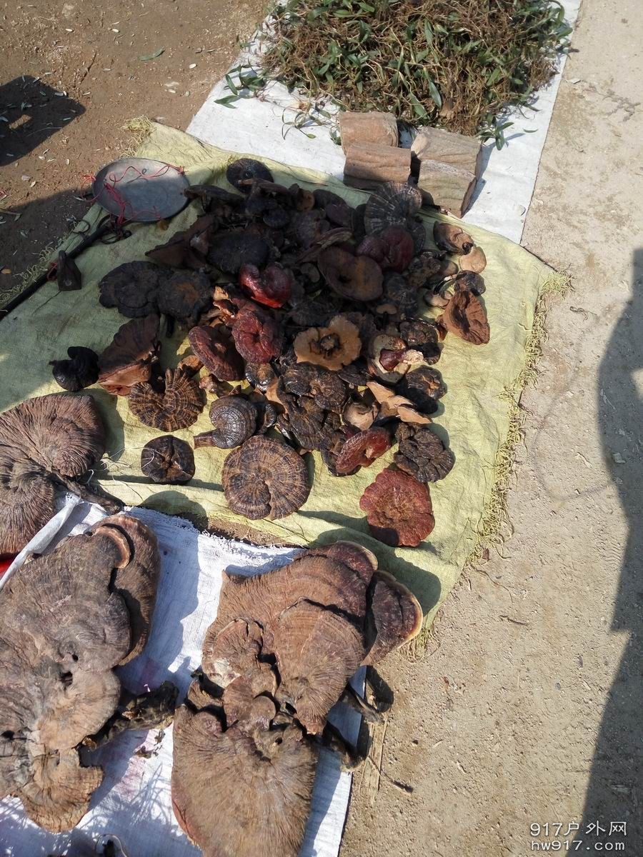 调整大小 IMG_20161204_103039.jpg