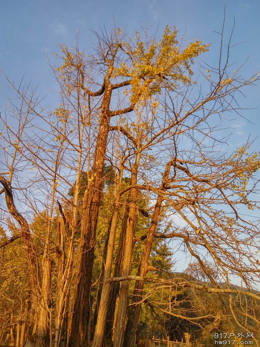 调整大小 IMG_20161203_164210_HDR.jpg