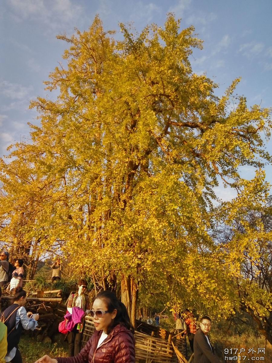 调整大小 IMG_20161203_163849_HDR.jpg