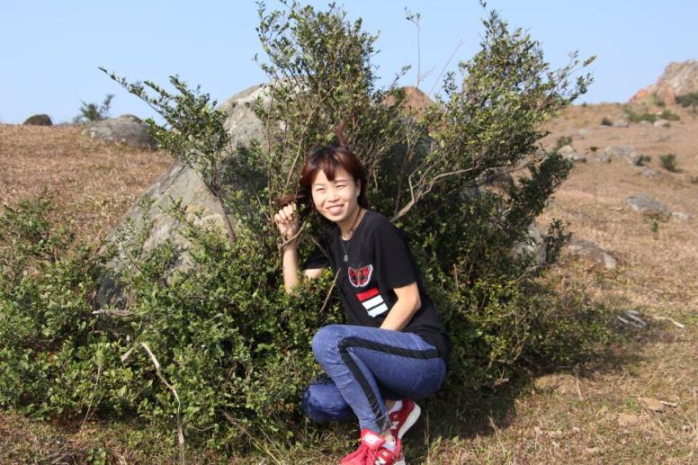 QQ图片20161220111152 (776x517).jpg