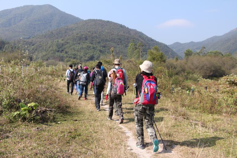 psb (5) (776x517).jpg