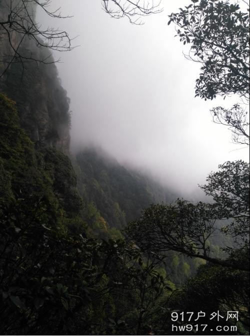 似乎很难上去！