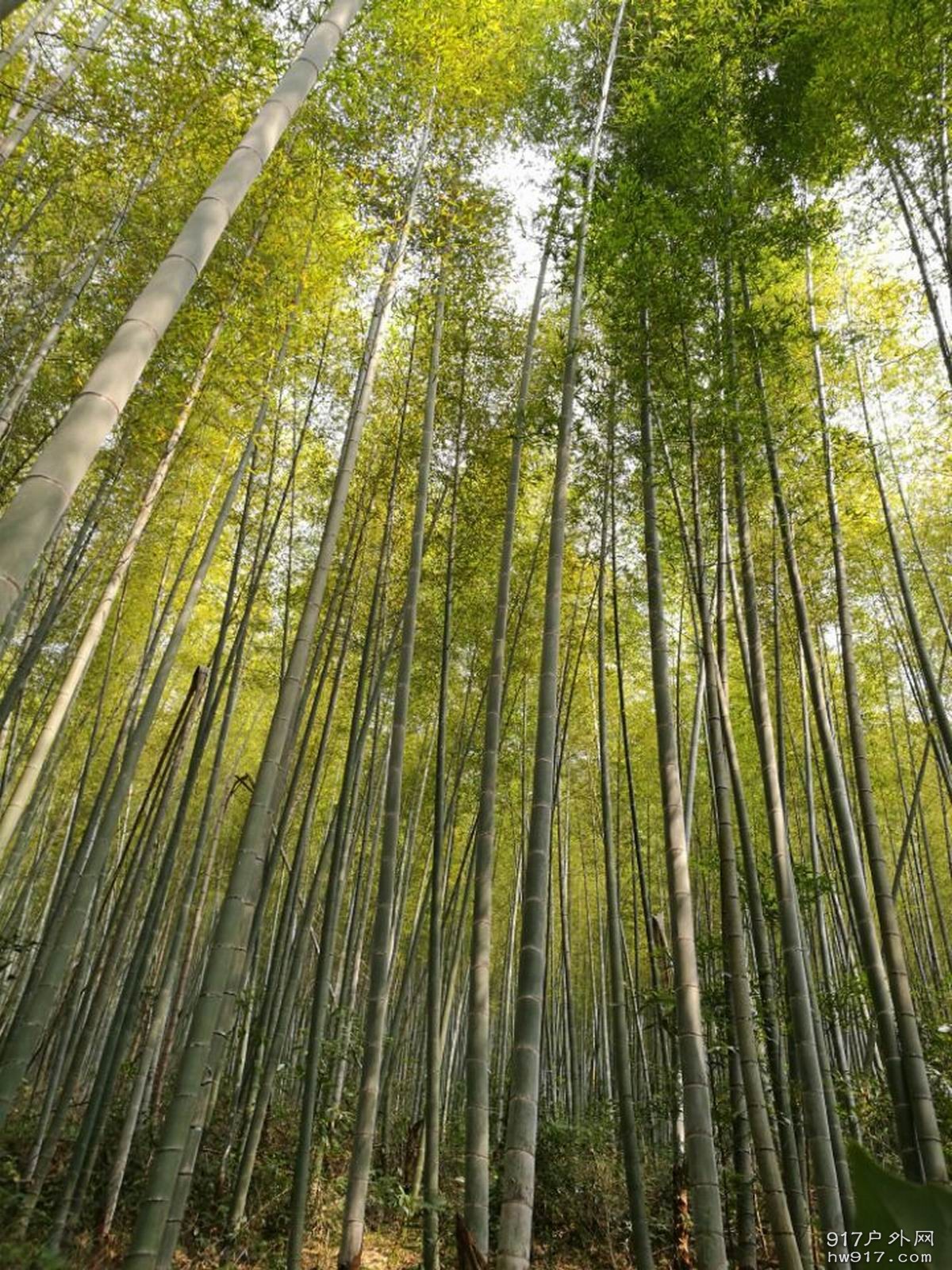 调整大小 -653fdcc17ac05ce0.jpg