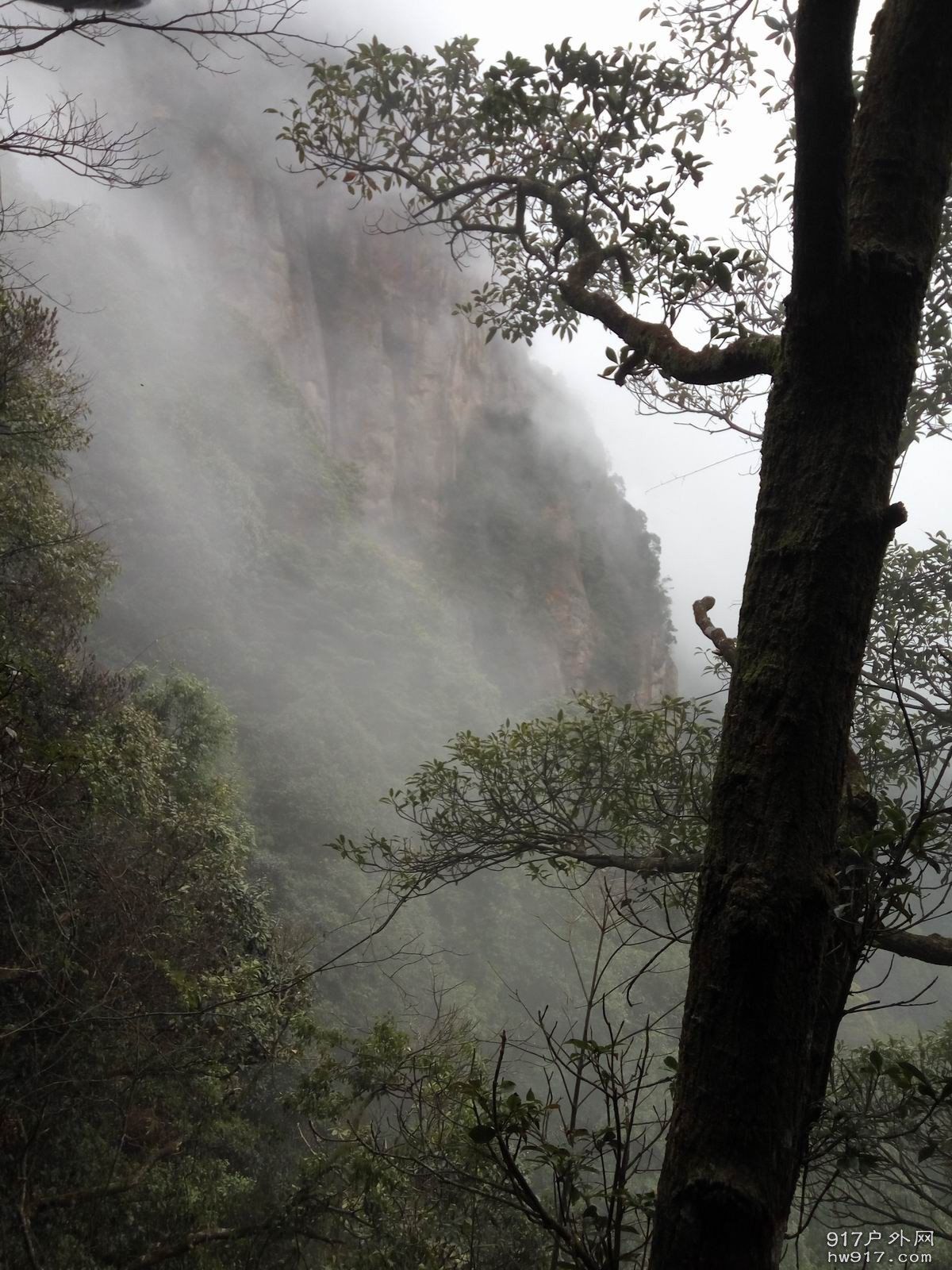 调整大小 IMG_20170305_121709.jpg