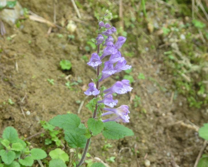 哈哈，有没有人认识