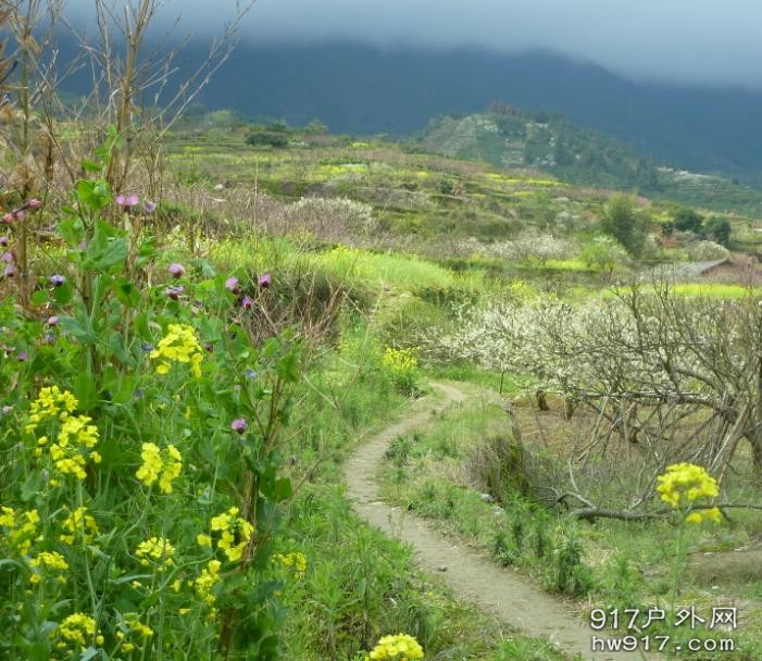 花间小道，谁一路走过....