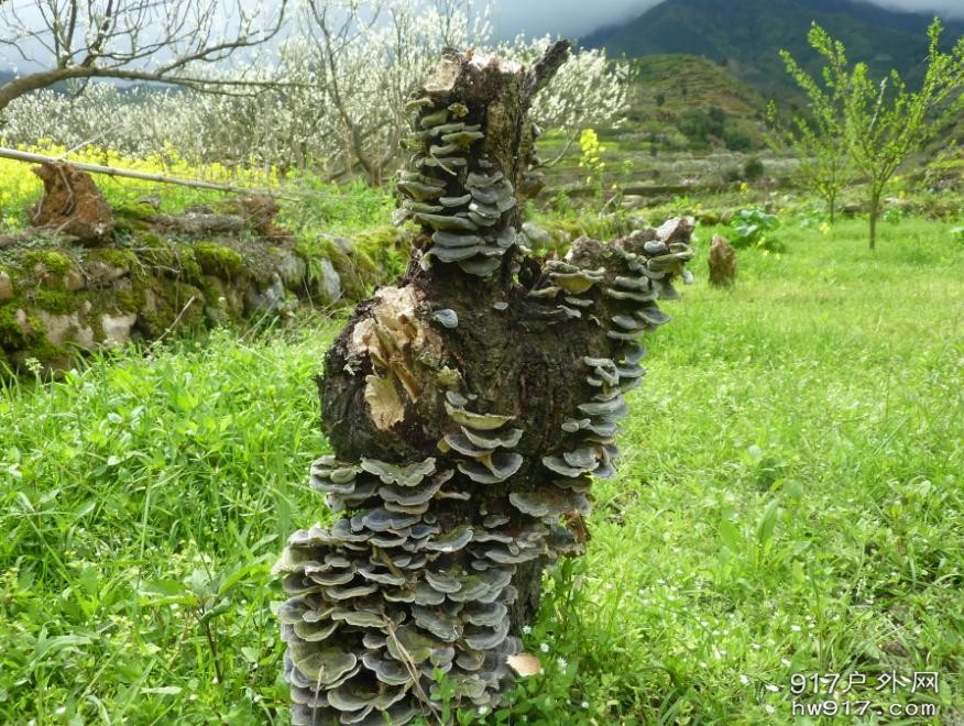 让大家充分想像吧.....