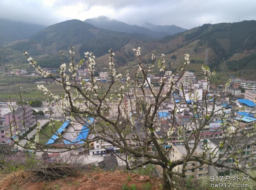 于山腰处看山花盛开！