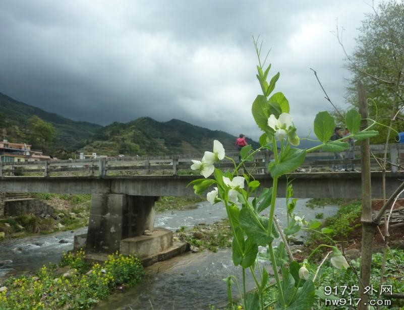 春天，就应该是这样的.....