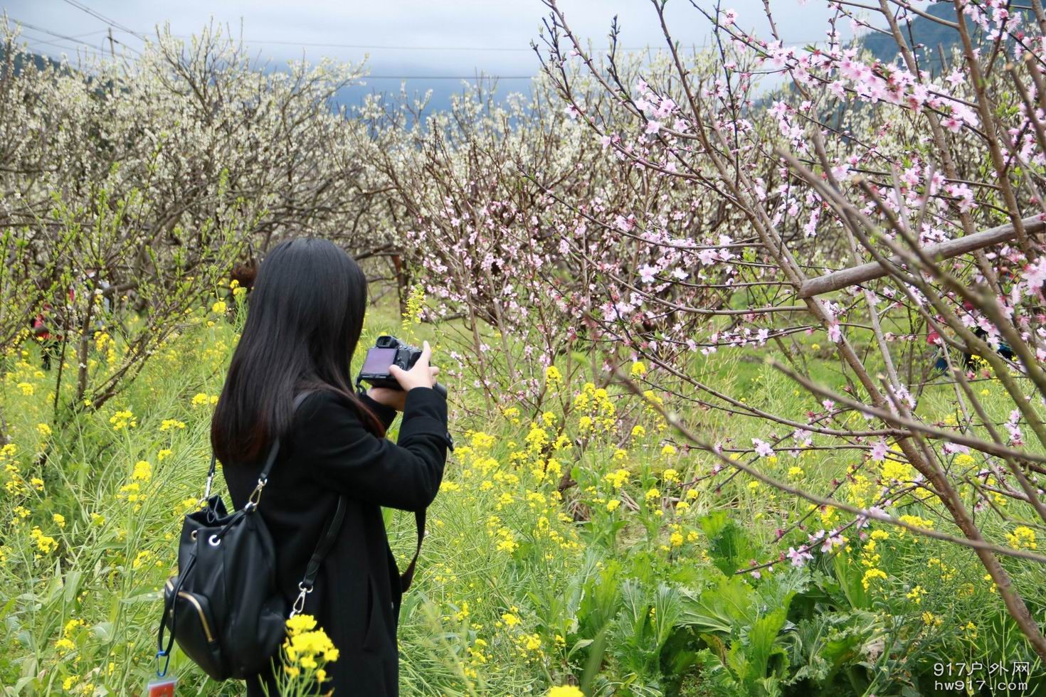 调整大小 调整大小 14.JPG