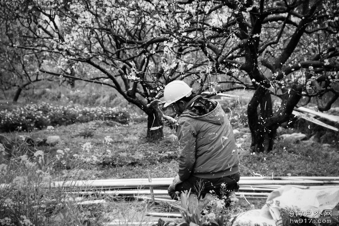 调整大小 调整大小 7.JPG