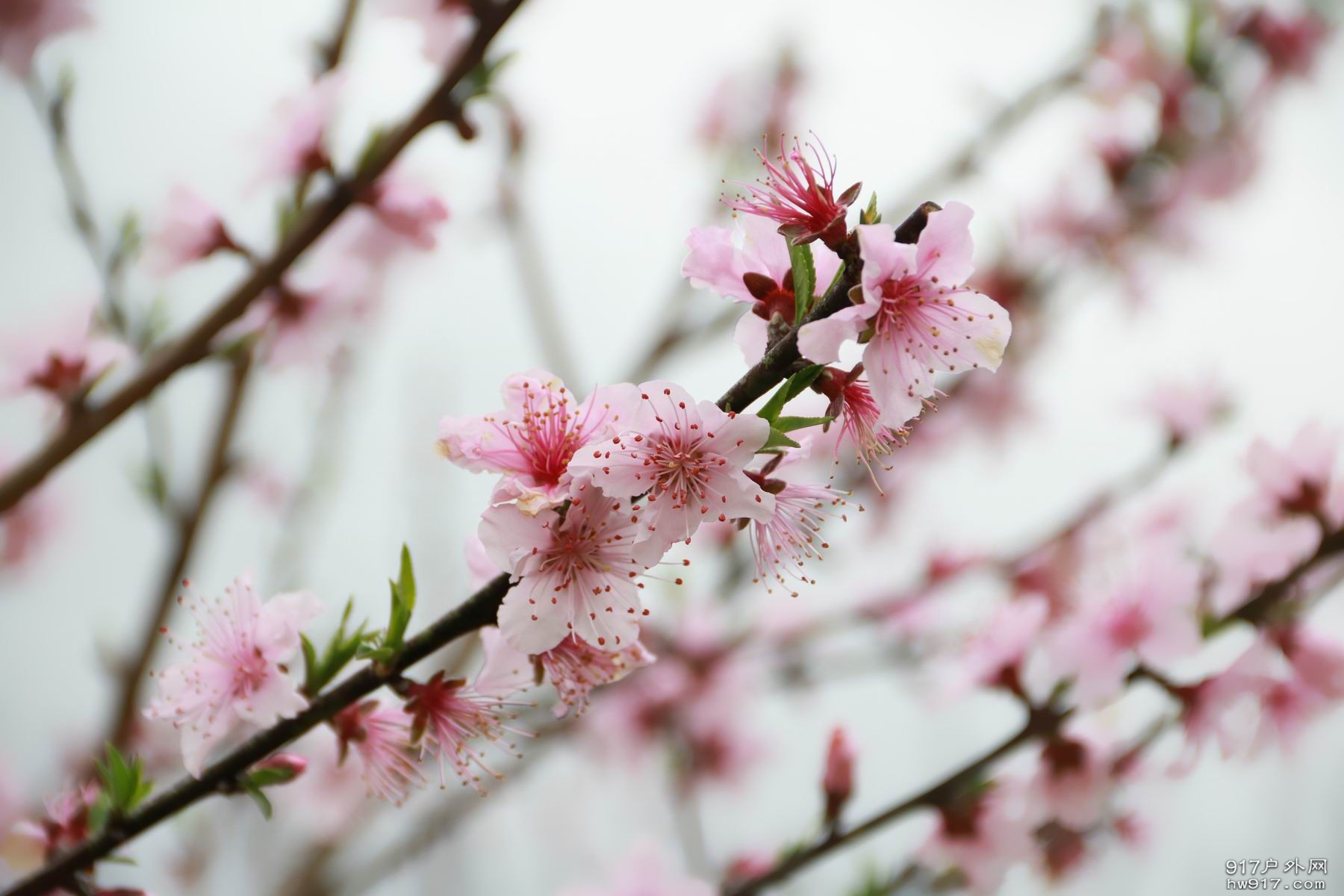 调整大小 IMG_1693.JPG