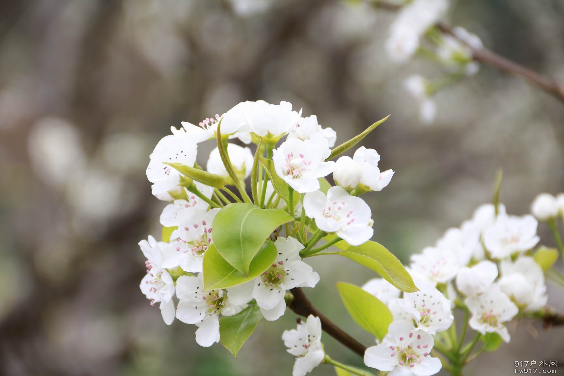 调整大小 IMG_1731.JPG