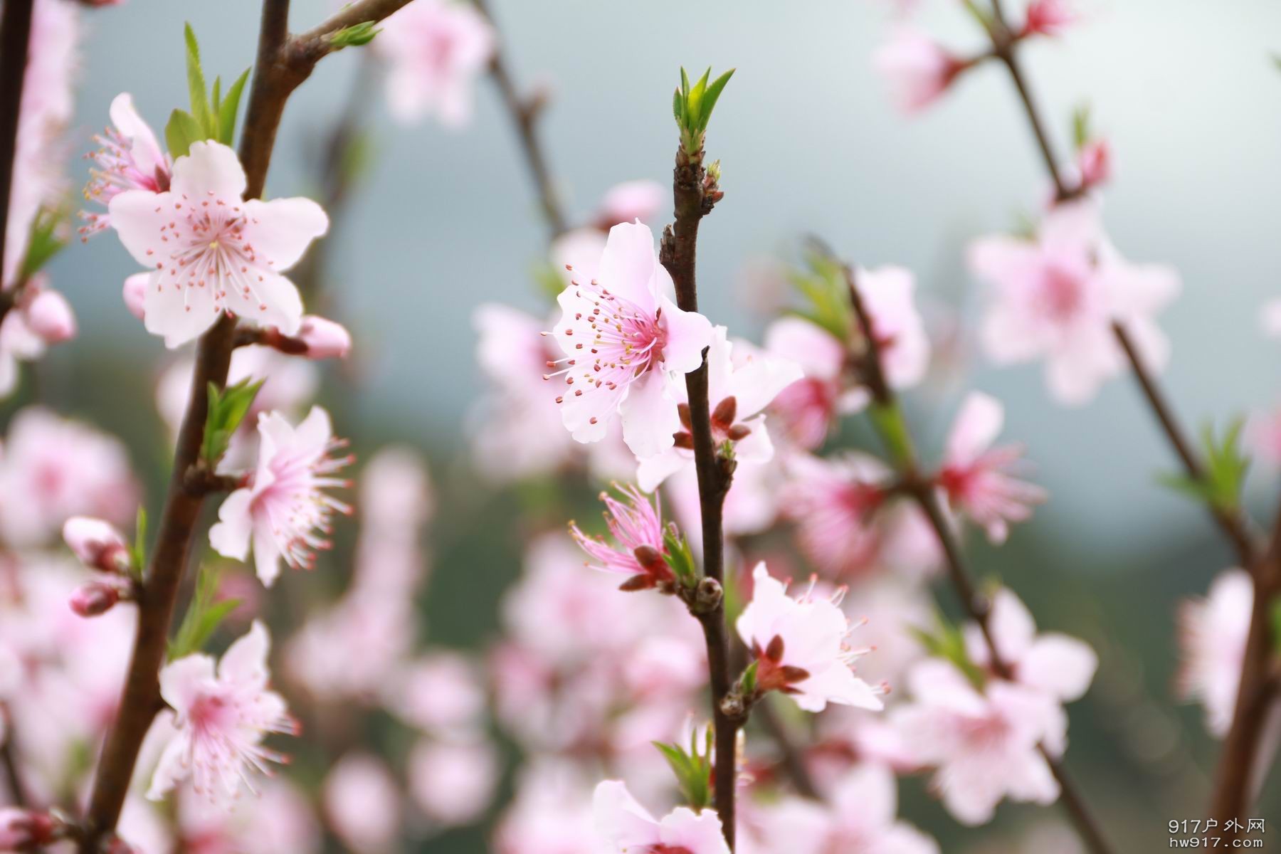 调整大小 IMG_1724.JPG