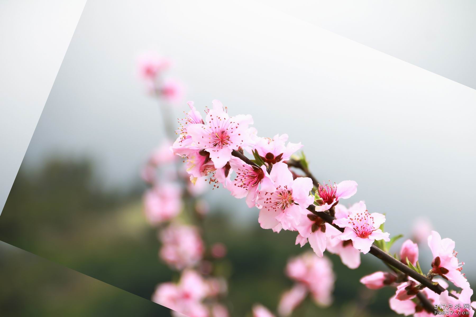 调整大小 IMG_1734.JPG