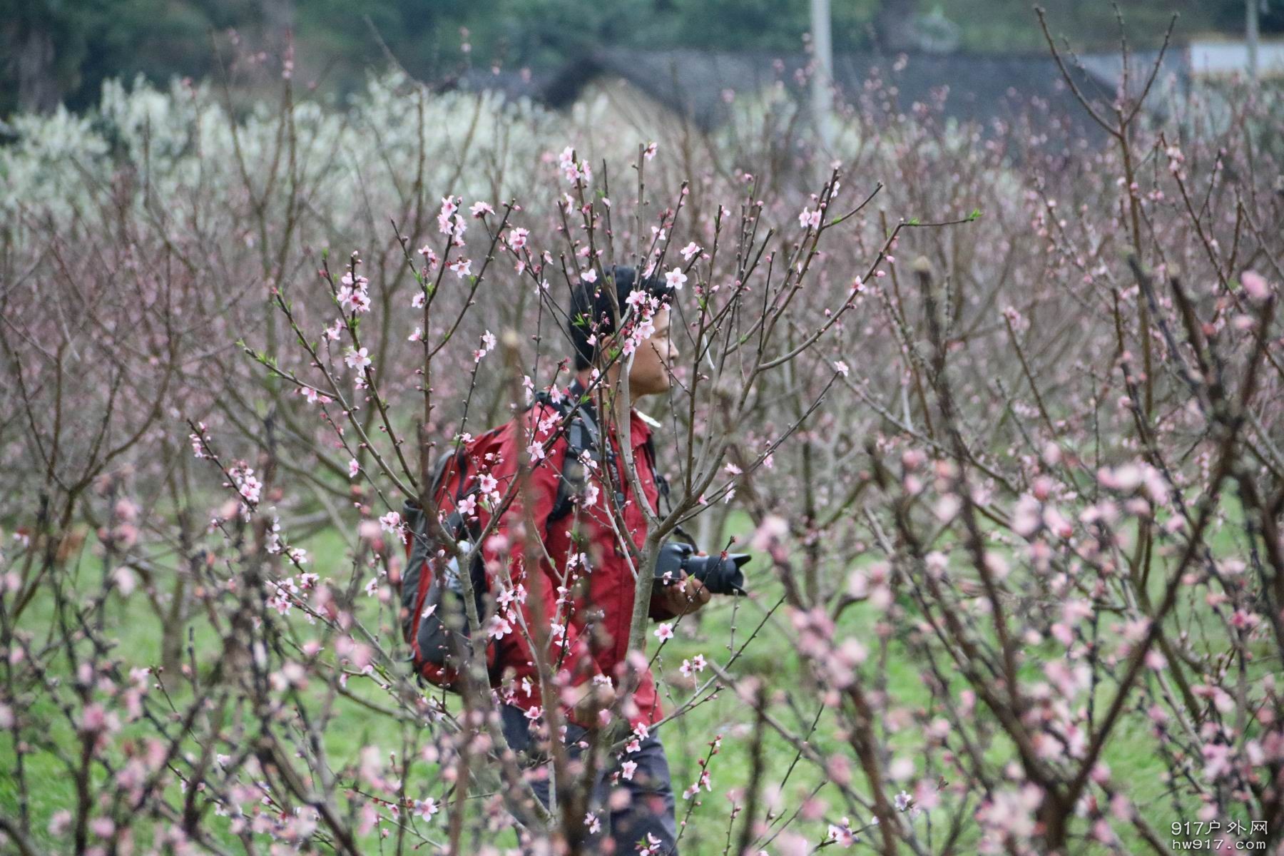 调整大小 IMG_2705.JPG