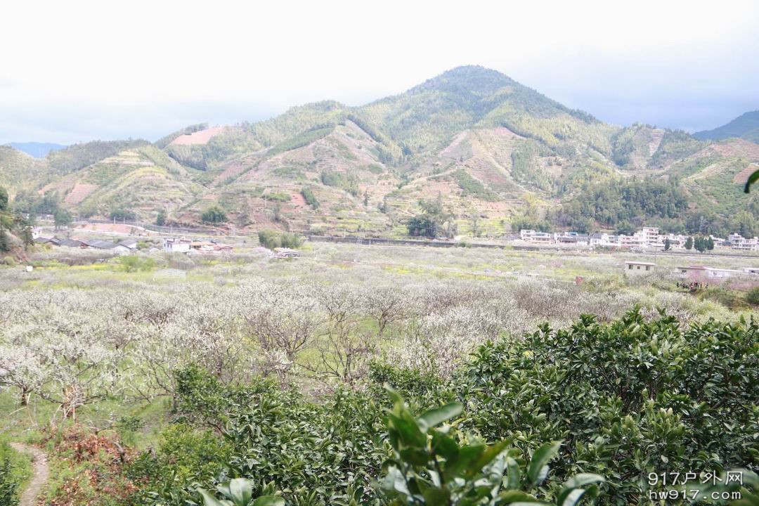 调整大小 调整大小 IMG_1811.JPG