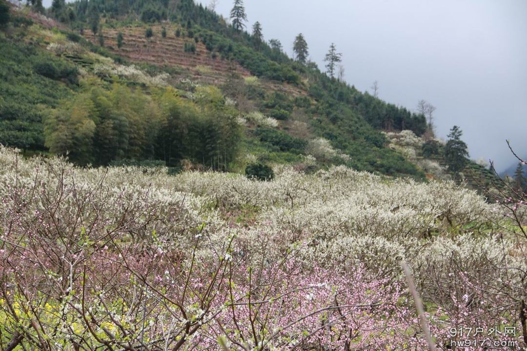 调整大小 调整大小 IMG_1869.JPG