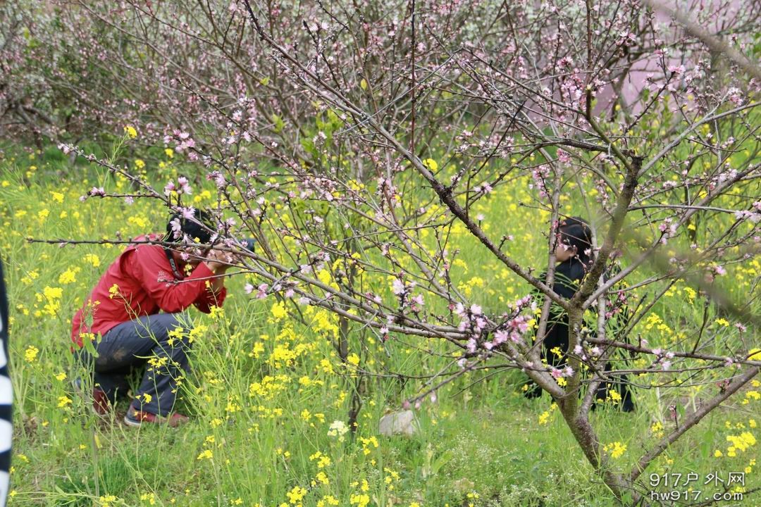 调整大小 调整大小 IMG_2631.JPG